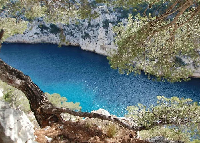 Azur شقة *